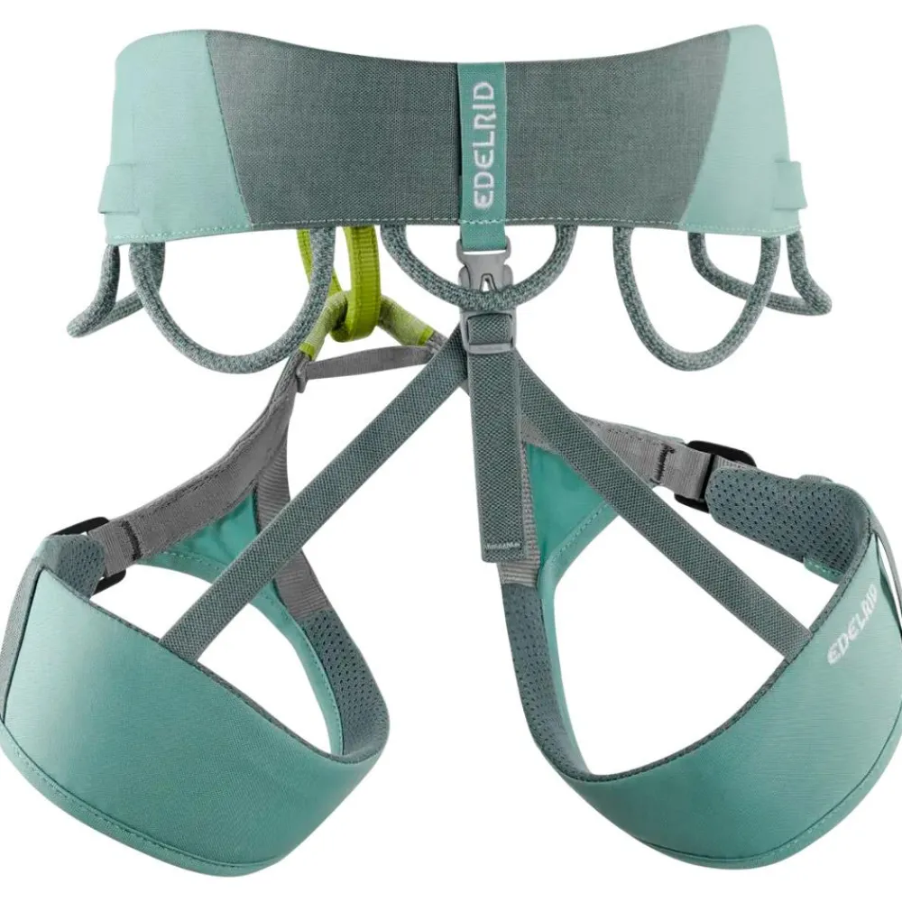Baudrier<Edelrid Baudrier Jayne Dolphin