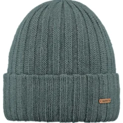 Bonnet Et Bandeau<Barts Bonnet Bayne Beanie Dark Celadon