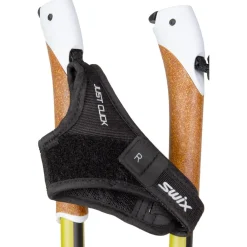 Bâtons<Swix Bâton Fond Dynamic D3