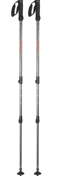 Sale Bâton Access Pairs Steel Grey Bâtons De Marche Télescopique