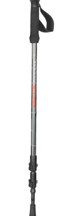 Sale Bâton Access Pairs Steel Grey Bâtons De Marche Télescopique