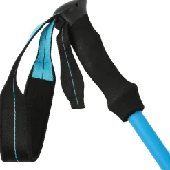 Best Bâton Shift Pairs Blue Aster Bâtons De Randonnée Carbone|Bâtons De Marche Télescopique