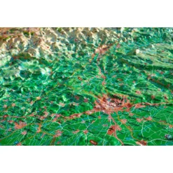 Carte 3D<3DMAP Carte 3D Le Gard