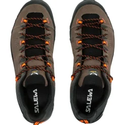 Chaussures Alpinisme|Chaussures Rando Basses<Salewa Chaussures d'approche Alp Trainer 2 Gore-Tex Bungee Cord Black