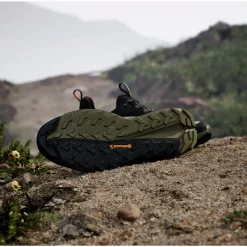 Hot Chaussures de Fast Hiking Terrex Free Hiker 2 Low Gore-Tex Cblack Carbon Olistr Homme Chaussures Rando Basses|Chaussures Fast Hiking
