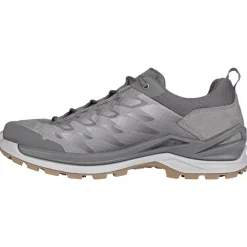 Chaussures Rando Basses|Chaussures Fast Hiking<Lowa Chaussures de Fast Hiking Ferrox Gore-Tex Lo Graphite Bronze