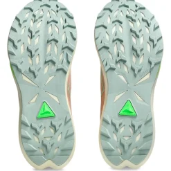 Chaussures Trail Femme<Asics Chaussures de trail Fuji Lite 6 Wmn Apricot Lichen Rock