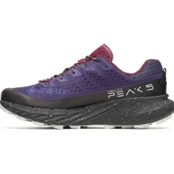 New Chaussures de trail Agility Peak 5 Gore-Tex Arcane Homme Chaussures Trail Homme