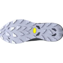 Chaussures Trail Homme<Mizuno Chaussures de trail Wave Daichi 9 Gore-Tex Baritoneblue Capribreeze Icela