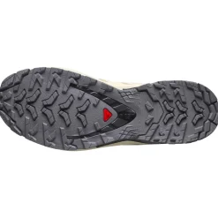 Chaussures Trail Femme|Chaussures Rando Femme<Salomon Chaussures de trail Xa Pro 3D V9 Gore-Tex W Hazelnut Tender Peach Black