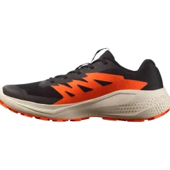 Chaussures Trail Homme<Salomon Chaussures de trail Alphaglide Black Rainy Day Red Orange