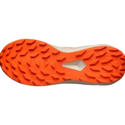 Chaussures Trail Homme<Salomon Chaussures de trail Alphaglide Black Rainy Day Red Orange