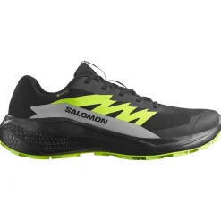Chaussures de trail Alphaglide Gore-Tex Black Alloy Sharp Green Homme Chaussures Trail Homme