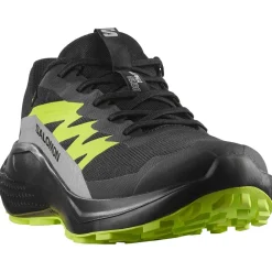 Chaussures de trail Alphaglide Gore-Tex Black Alloy Sharp Green Homme Chaussures Trail Homme
