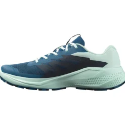 Online Chaussures de trail Alphaglide Poseidon Bay Parakeet Homme Chaussures Trail Homme