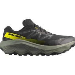 Chaussures Trail Homme<Salomon Chaussures de trail Ultra Flow 2 Gore-Tex Black Sedona Sage Incaberry