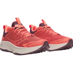 Chaussures Trail Femme<Saucony Chaussures de trail Ride Tr 2 Wmn Brick Wine