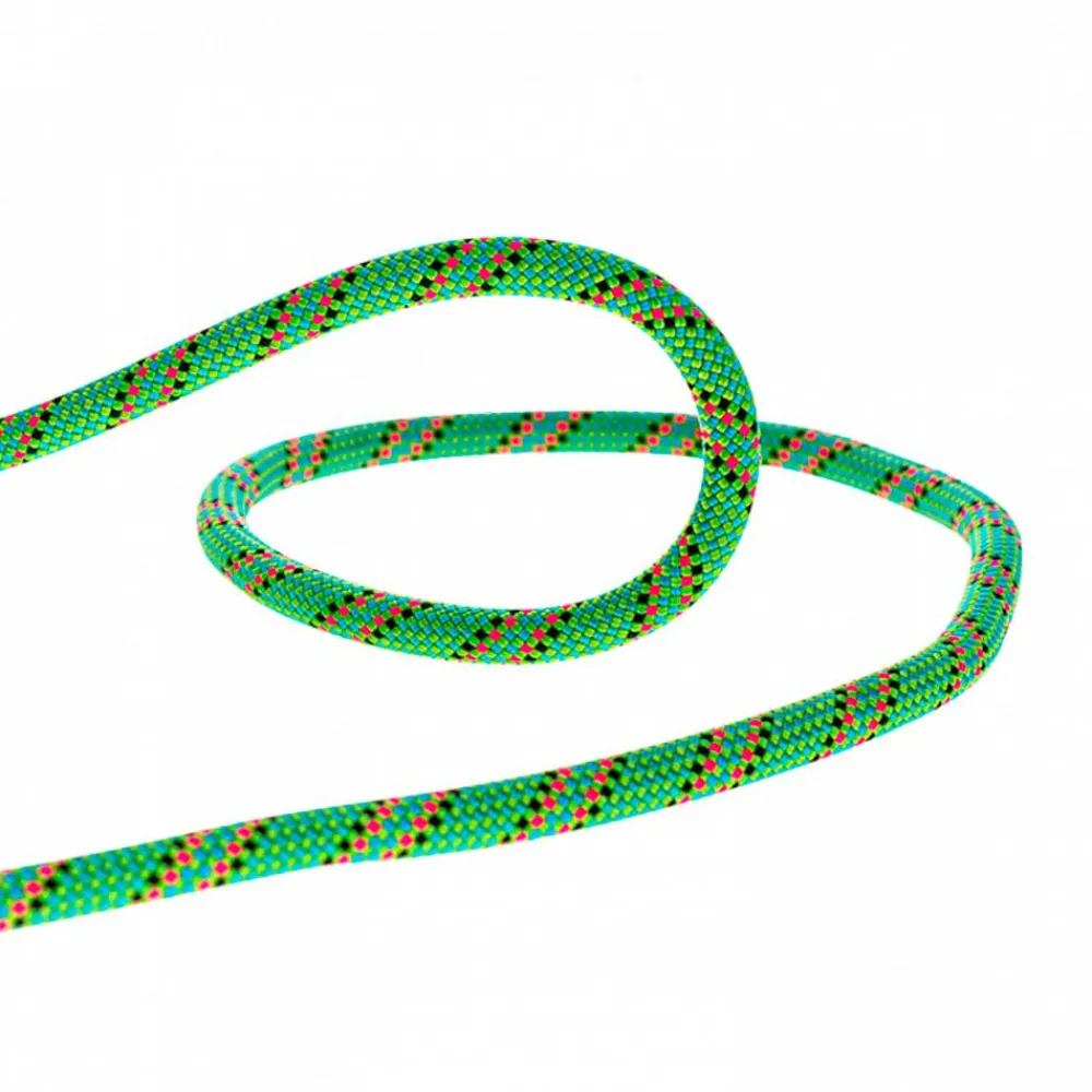 Best Corde Tiger 10mm Dry Cover Green Corde