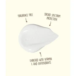 Crème Solaire|Produits De Soins<Sun Bum Crème solaire Original SPF 50 Sunscreen Face Lotion
