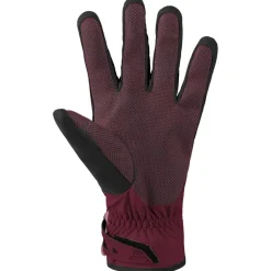Gants De Ski Femme|Gants De Ski Homme<Dynafit Gant Mercury Dynastretch Gloves Burgundy