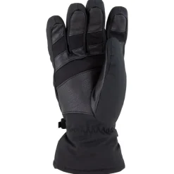 Gants De Ski Homme<Level Gant Evolution Gore-tex Noir