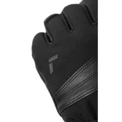Gants De Ski Homme<Reusch Gant Experience R-Tex Xt Lc Black