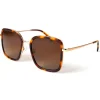 Lunettes Femme|Lunettes Polarisées<Binocle Eyewear Lunettes de soleil Paloma Shiny Gold Tortoise Gradient Brown Polarized