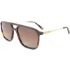Lunettes Polarisées<Binocle Eyewear Lunettes de soleil Milano Gold Tortoise Brown Polarized
