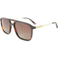 Lunettes Polarisées<Binocle Eyewear Lunettes de soleil Milano Gold Tortoise Brown Polarized
