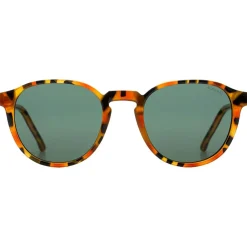 Online Lunettes de soleil Liam Amber Shell Femme Lunettes Femme|Lunettes Polarisées