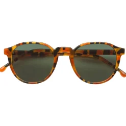 Online Lunettes de soleil Liam Amber Shell Femme Lunettes Femme|Lunettes Polarisées