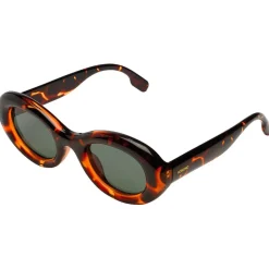 Lunettes de soleil Molly Havana Femme Lunettes Femme