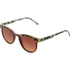 Best Lunettes de soleil Francis Bronze Bobcat Femme Lunettes Femme