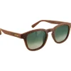 Lunettes Femme|Lunettes Polarisées<Moken Vision Lunettes de soleil Quincy Brown Green Cat.3 Polarized