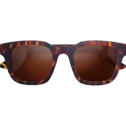 Lunettes de soleil Miles Tortoise Brown Cat.3 Polarized Femme Lunettes Polarisées|Lunettes Femme