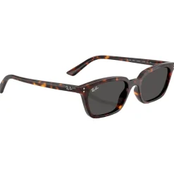 Lunettes Femme|Lunettes Homme<Ray Ban Lunettes de soleil RB4456 Zaya Polished Havana Dark Grey