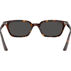 Lunettes Femme|Lunettes Homme<Ray Ban Lunettes de soleil RB4456 Zaya Polished Havana Dark Grey