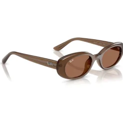 Lunettes Femme<Ray Ban Lunettes de soleil RB4441D Matte Brown Opaline Dark Brown