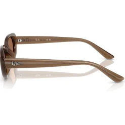 Lunettes Femme<Ray Ban Lunettes de soleil RB4441D Matte Brown Opaline Dark Brown
