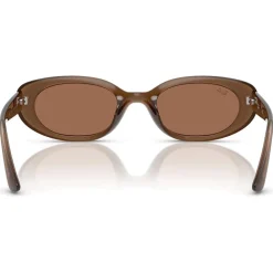 Lunettes Femme<Ray Ban Lunettes de soleil RB4441D Matte Brown Opaline Dark Brown