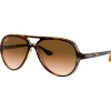 Outlet Lunettes de soleil RB4125 Cats 5000 Classic Polished Light Havana Gradient Light Brown Femme Lunettes Femme