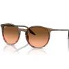 Lunettes Femme<Ray Ban Lunettes de soleil RB2204 Polished Striped Red Brown Gradient Black Pink