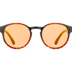 Best Lunettes de soleil Eden Shiny Havana Brown Bronze Mirror Polarized Femme Lunettes Femme|Lunettes Polarisées