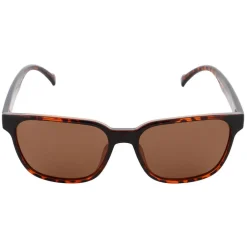 Discount Lunettes de soleil Cary Shiny Havana Brown Lunettes Polarisées