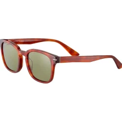 Lunettes Photochromiques|Lunettes Polarisées<Serengeti Lunettes de soleil Ethan Shiny Classic Havana Polarized 555nm