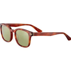 Best Lunettes de soleil Ethan Shiny Classic Havana 555nm Lunettes Photochromiques