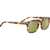 Lunettes Photochromiques|Lunettes Polarisées<Serengeti Lunettes de soleil Charlton Shiny Havana Polarized 555nm