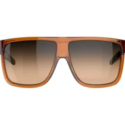 Lunettes Femme<Tripoint Lunettes de soleil Rajka Shiny Transparent Brown Gradient Brown