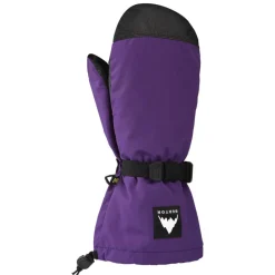 Discount Moufles Men's Hi 5 Mittens Imperial Purple Homme Moufles|Gants De Ski Homme