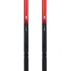 Pack Ski Nordique Race Pro Skin + Fix Pack Ski